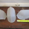 Slipper Shades - Image 2